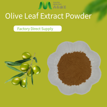 Organic Pure Olive Leaf Extract Powder