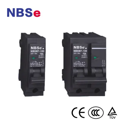 Best Quality Delixi 2P Micro Circuit Breaker DZ47S