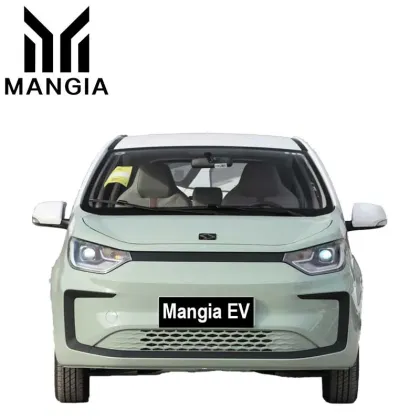 in 2023 China Will Sell New Energy Adult Electric Car Sol E10X EV Mini SUV at a Low Price