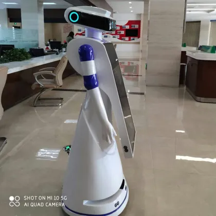 Intelligent Interactive Robot for Bank and Shopping Mall Consulting