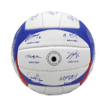 Mini Leather Volleyball Balls Maat 3