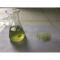 Fresh Celery Juice Powder for Daily Use