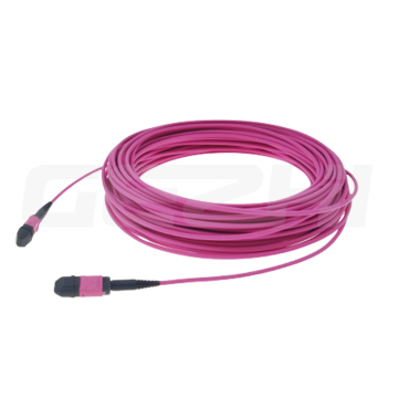 MPO/PC Male and Female Fiber Optic Patch Cord, 12/24 Cores, 3.0mm LSZH PVC OM4