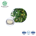 High-Purity Camptothecin 98% by HPLC for Anti-Cancer API