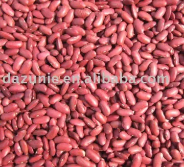 Dark Red Kidney Bean
