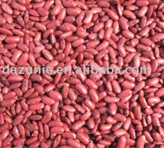 Dark Red Kidney Bean