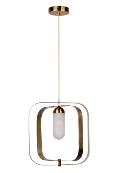 New design indoor modern metal pendant lighting