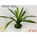 41cm Dancing Orchid leaf x 15 with plastic Pot