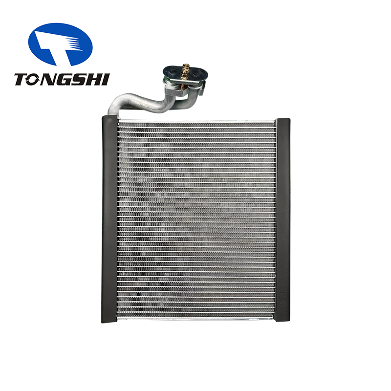 AL3Z19850B/9L3Z19850A/AL3Z19850F Car AC Evaporator for Lincoln MKZ/Navigator 12-14 /Ford Expedition Limited 2017 V6
