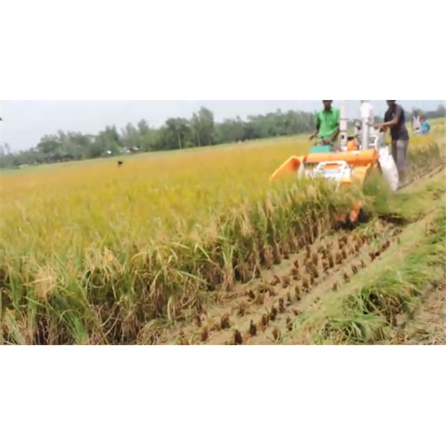 Wheat and rice harvester thresher machine