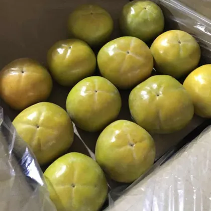 Fresh Sweet Persimmon Health