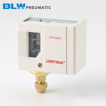 Pneumatic Pressure Controller SSNS-110 Boiler Switch 10 kg Adjustment Pressure Switch