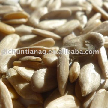 confectionary sunflower kernel organic