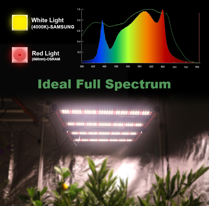 折りたたみ可能なフルスペクトルSamsung LM301H LED Grow Lights