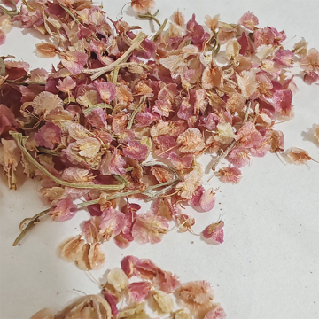 Yunnan Manufacturers: Wholesale DIY Handmade Dried Flowers and Butterfly Petals