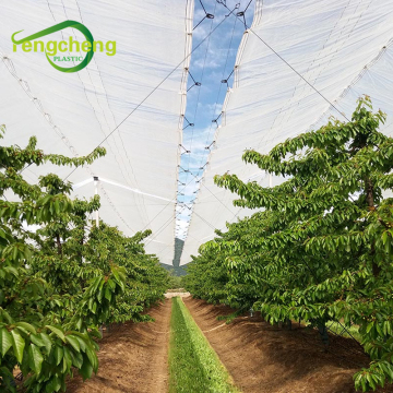 White woven reinforced cherry tarpaulin with ring