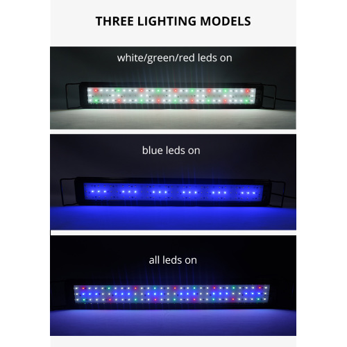 Lampu tangki ikan akuarium penuh penuh