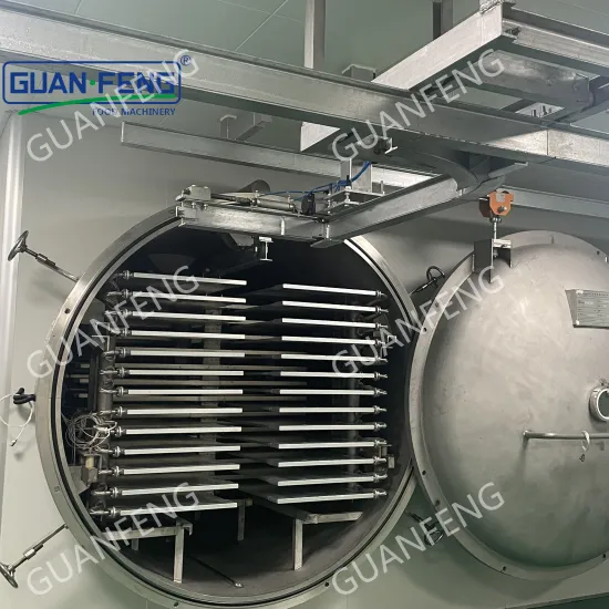 Efficient Vacuum Freeze Drying Equipment for Food Processing: Fruit, Vegetables, and Meat
