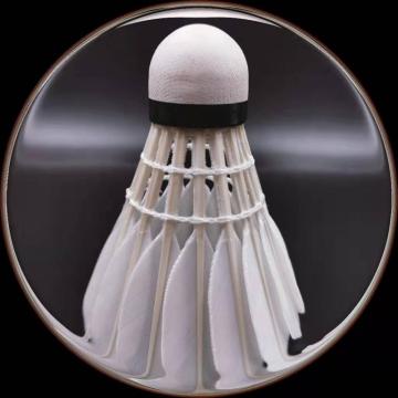 Online Durable Beginners Durable PAV Badminton Balls