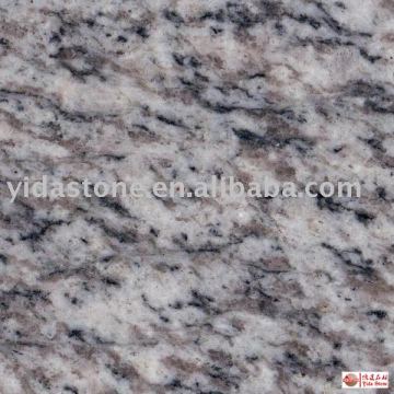 White Tiles (white granite,granite tiles)