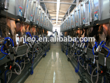 Fast exit milking parlour