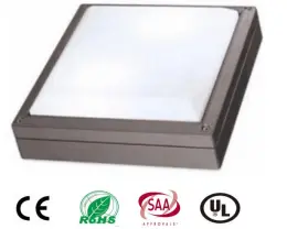 LED Wall light fixture outdoor 20W IP65 ceiling light for outside applications