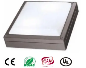 LED Wall light fixture outdoor 20W IP65 ceiling light for outside applications