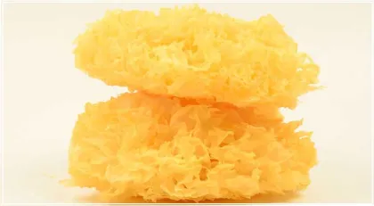 High Quality Dried white fungus tremella