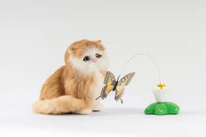 Electric Cat Toy with Fluttering Butterfly