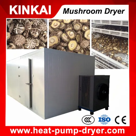 Drying chamber types of mushroom dryer used in food industry