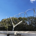 Hot Dipped Galvanized Razor Wire Coil Security Fencing