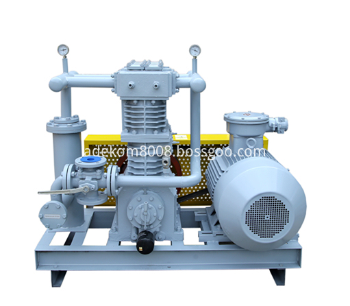 Petroleum Gas Compressor