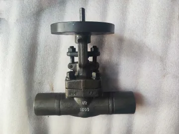 Weld extension pipe gate valve