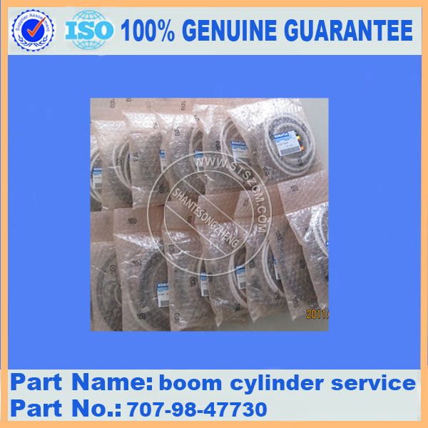 Pc220 8 Boom Cylinder Service 707 98 47730