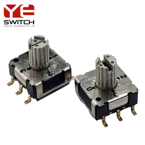 genom hål 10 position Rotary Dip Switch