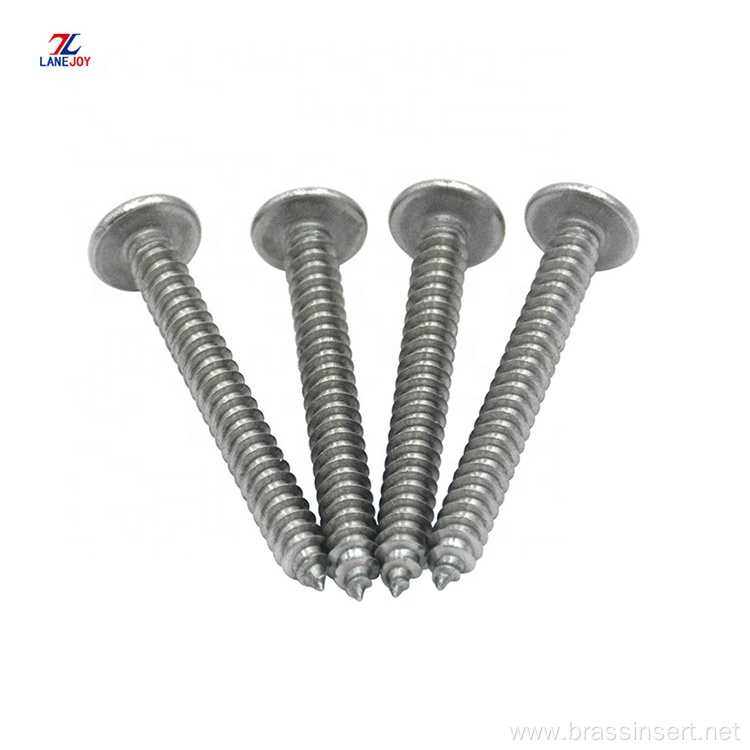 Made Wholesales Low Price Hinge Adjustment Screw