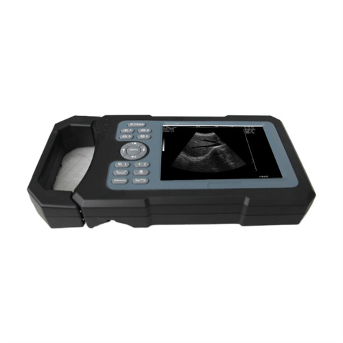 Easy Carry Veterinary Ultrasound Diagnostic System for Sheep