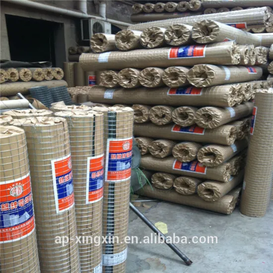 Anping 1/4'' 1/2'' 1'' square opening BWG12 - 26 Galvanized iron wire welded wire mesh, nets export to india (I - 043)