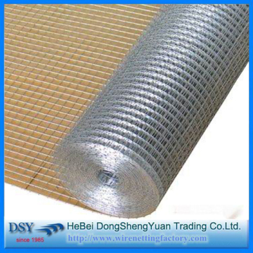 1/2 3/4 Inch Galvanized Welded Wire Mesh