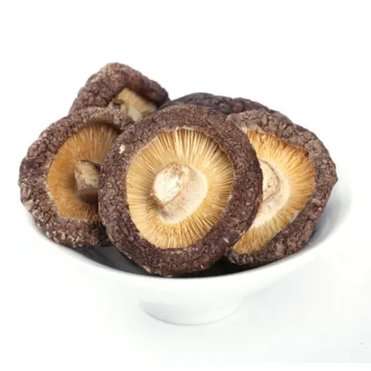 Organic mushroom green shiitake  dried mushroom