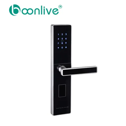 High-tech Password Rfid Card Bluetooth Lock