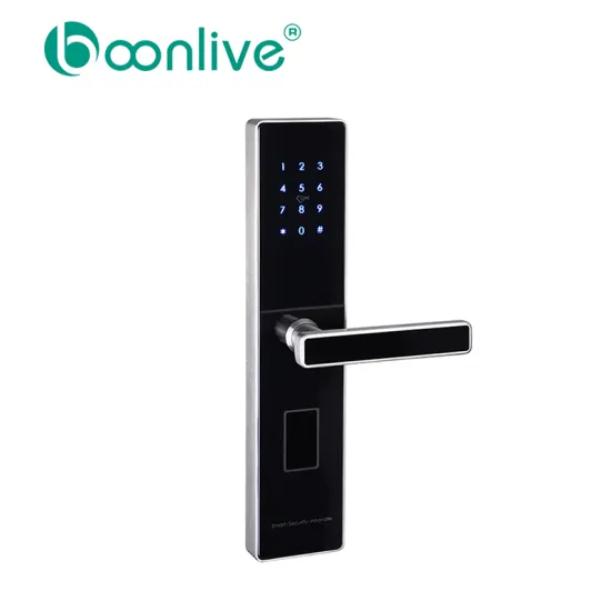 Multifunctional Apartment Bluetooth Lock Smart Lock