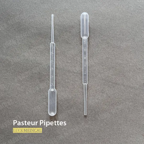 Pasteur Pipette Plastic Graduated
