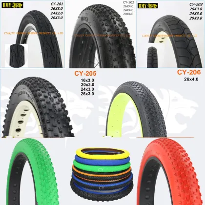 Professional High Quality BMY 20x4.0 Inch Snow Beach Electric Bike Fat Tire E-Bike