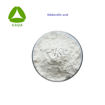 Best Price Gibberellic Acid 90% Powder