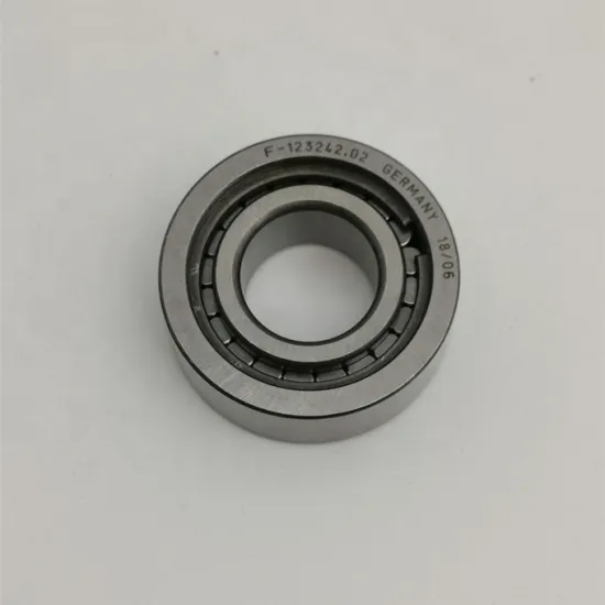 Germany Cylindrical Roller Bearing F-123242.02 Price List for Motor Applications