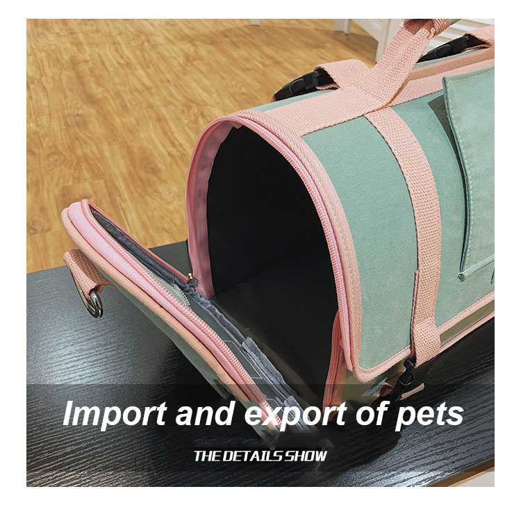 Pet Travel Carrier