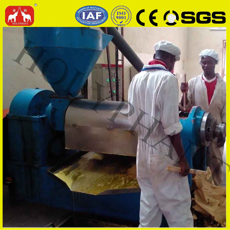 Best Seller Factory Price Professional Oil Press (60-1000kg/h)