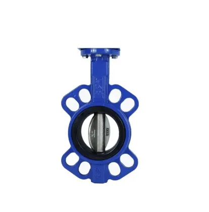 Cast Iron Motorized Butterfly Valve With Electric Actuator Butterfly Valve