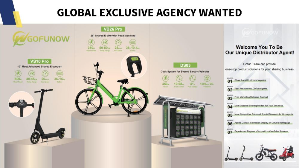 Gofunow Company Profile (23)